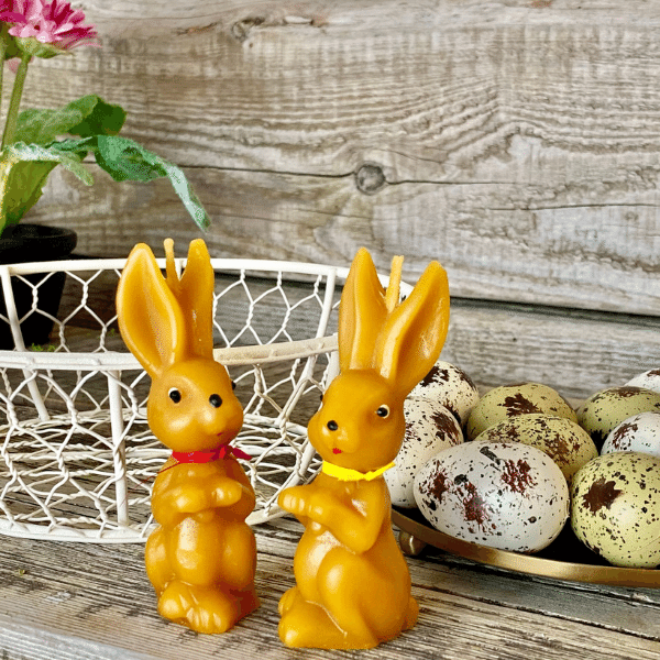 Maľovaný zajko tenký