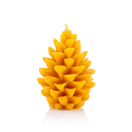 Šiška borovica stredná